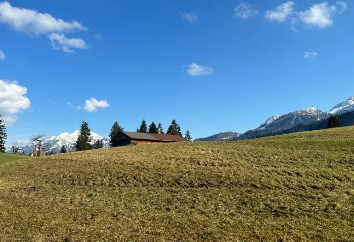 GRUNDSTÜCK