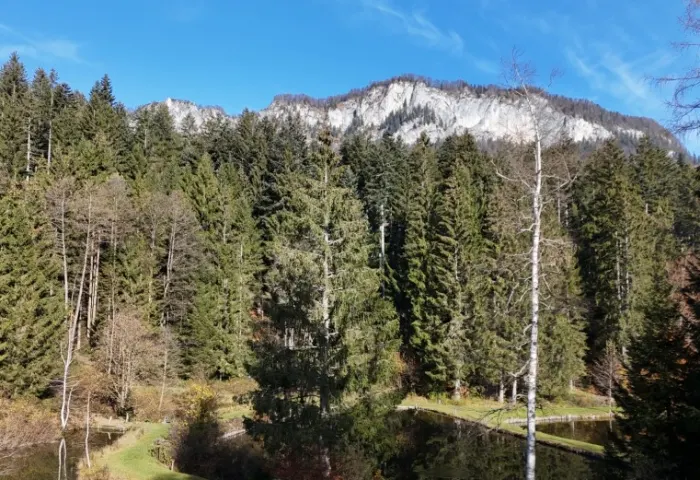 AUSBLICK
