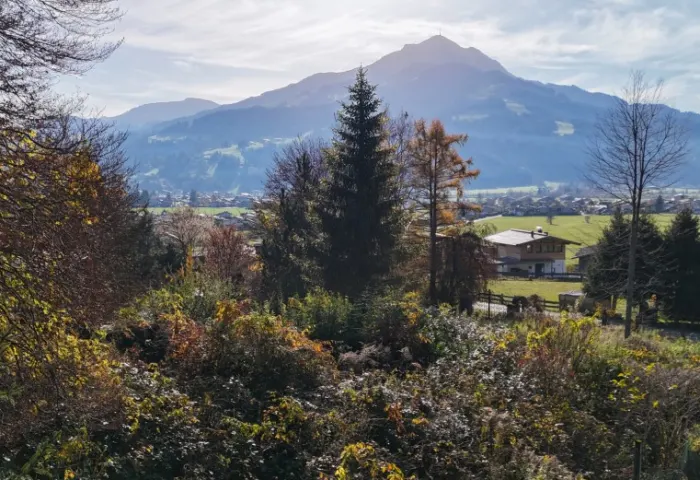 GRUNDSTÜCK