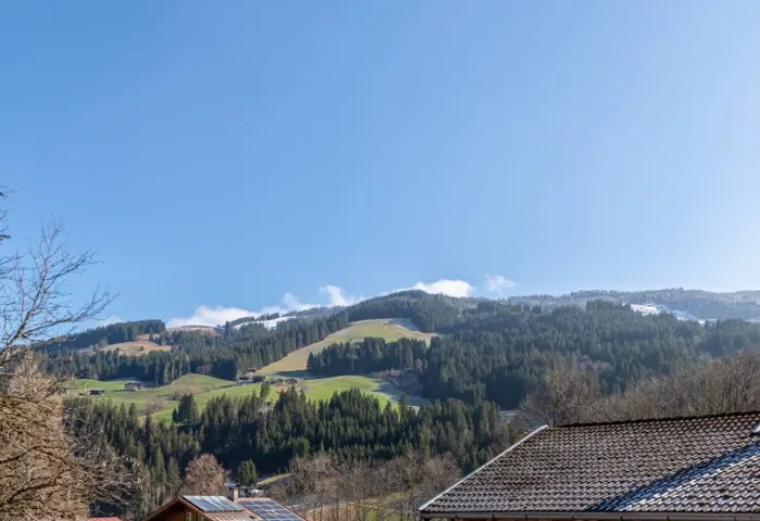 AUSBLICK