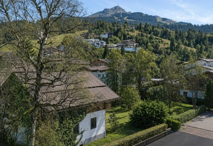 HORNBLICK