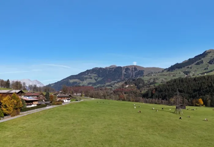 AUSBLICK