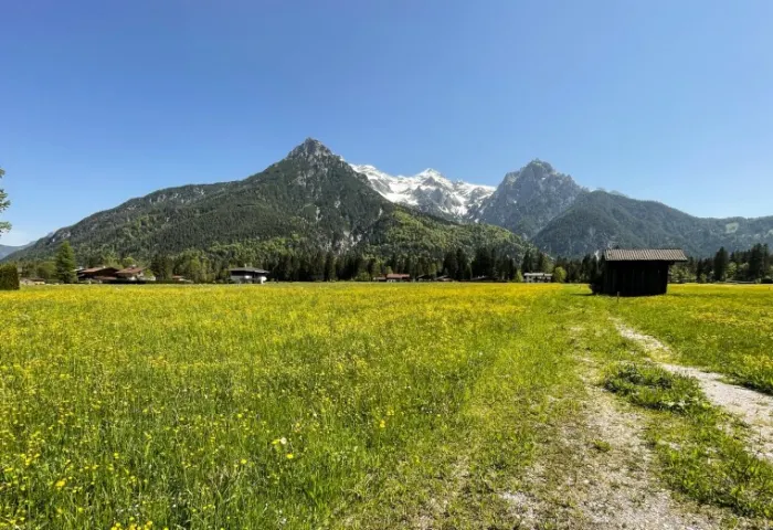 STEINBERGE