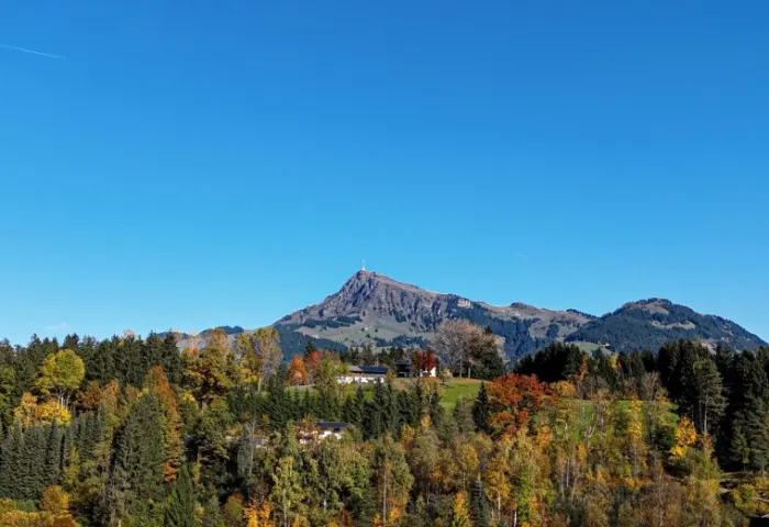 HORNBLICK