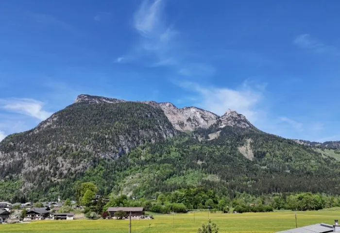 AUSBLICK