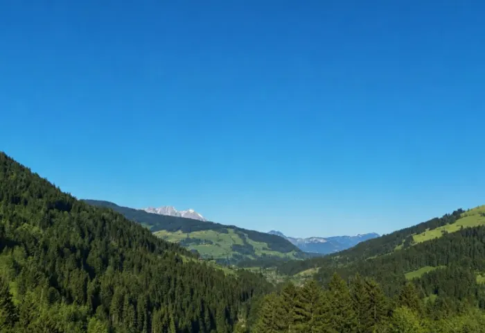 AUSBLICK